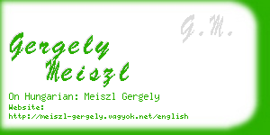 gergely meiszl business card